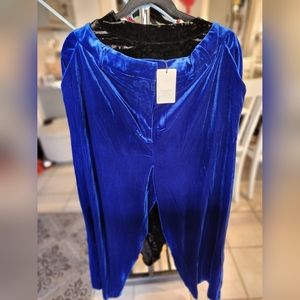 Brand new velvet pants (new with tags)